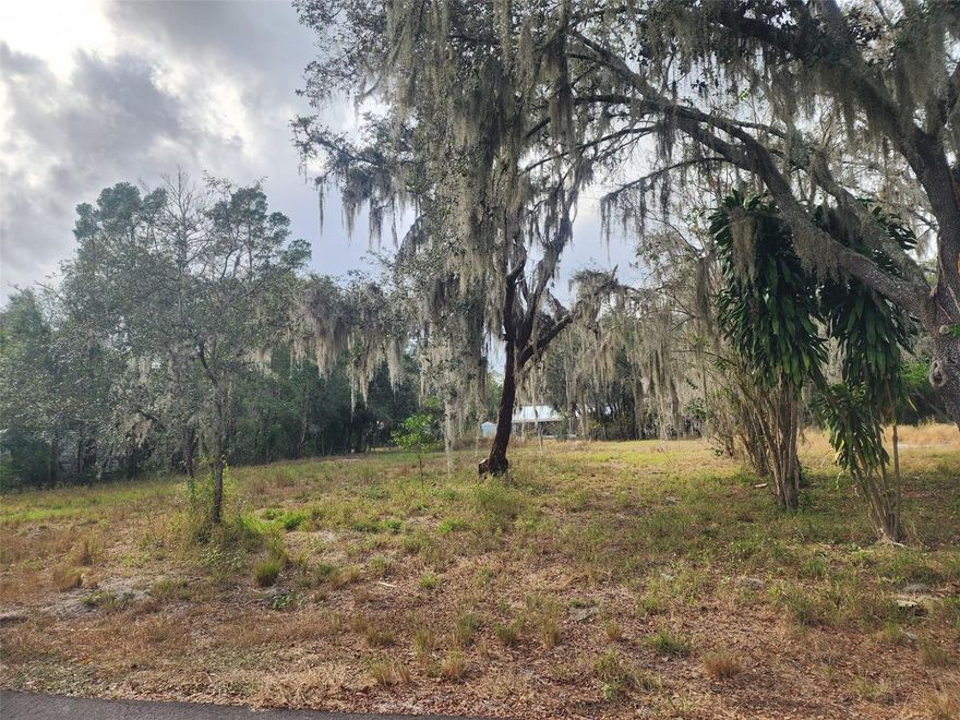 Incredible opportunity in a prime location! This spacious 1-acre lot offers everything you need to build the home of your dreams or to develop an excellent real estate investment. The land is perfect for building a single-family residence, or for investing by placing up to 2 mobile homes, taking advantage of its size, accessibility, and strong growth potential. The property already features a power pole, well, and septic tank. It is strategically located right off the central Martin Luther King Jr. Road, with quick access to I-4, making it easy to reach Tampa, Plant City, Lakeland, and all the conveniences the area. If you’re looking for space, convenience, connectivity, and a smart investment, this lot has it all. Don’t miss out on this unique opportunity!