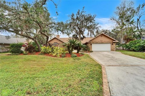 A home in PLANT CITY