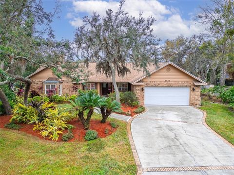 A home in PLANT CITY