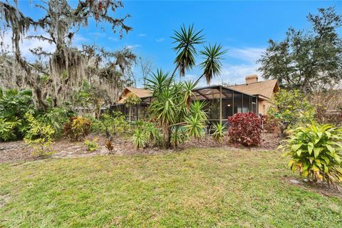 A home in PLANT CITY