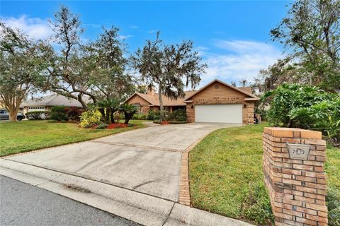 A home in PLANT CITY