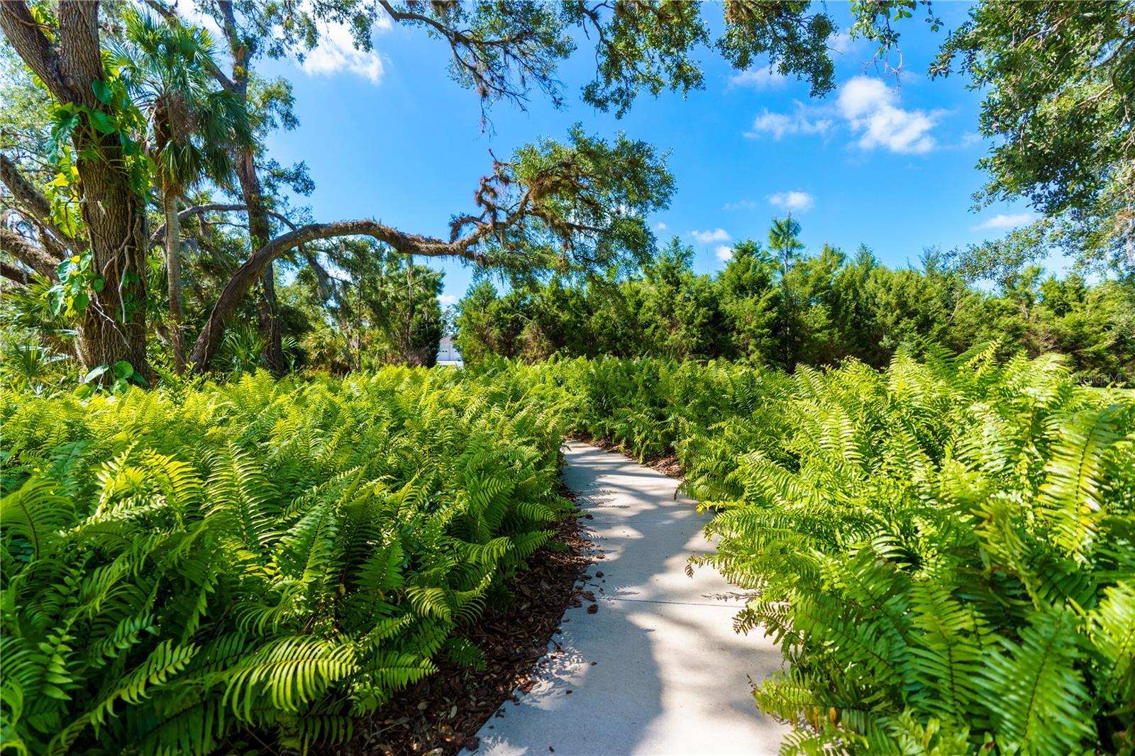 GRAND PALM - Residential Lease