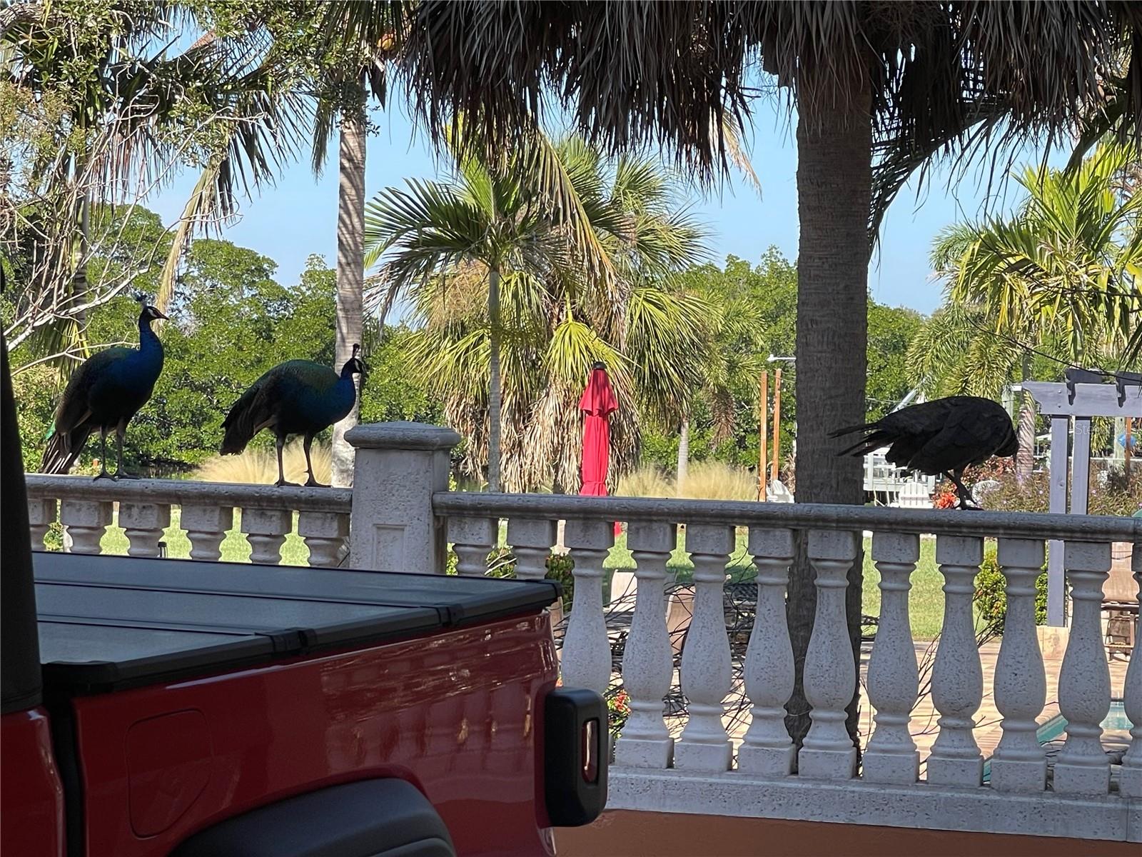 9017 BAYWOOD PARK DRIVE