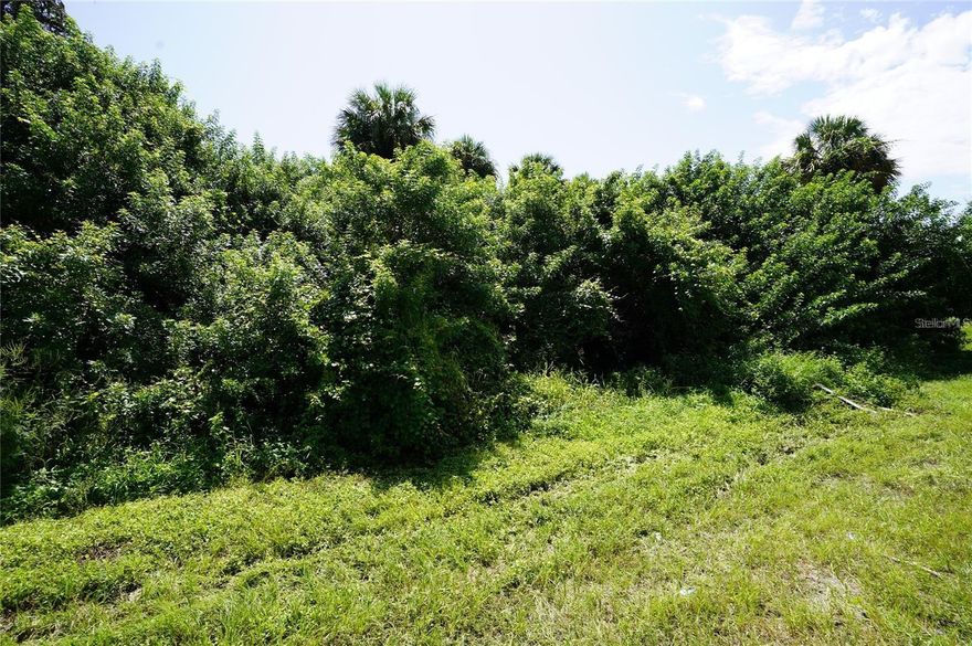 Location is close to Highway 41 or Tamiami Trail and Highway I-75. Lot size: 0.27 of acre = 11,680. sq ft. Great location to invest or build your new home. Pick your own builder or ask for help. Conveniently located close to I-75 and local amenities, beaches, and Tiki Bars and Live entertainment daily. Local International Airports: Fort Myers, Sarasota and local Punta Gorda with Allegiant airlines direct. Many outdoor concert venues weekly. Many local Tiki Clubs watch live entertainment to have a Sunset view. Local parks, state parks, tennis or pickleball, to amazing golf courses. You deserve to view this property and make it your home or investment. Scrub Jay free. No permit needed.