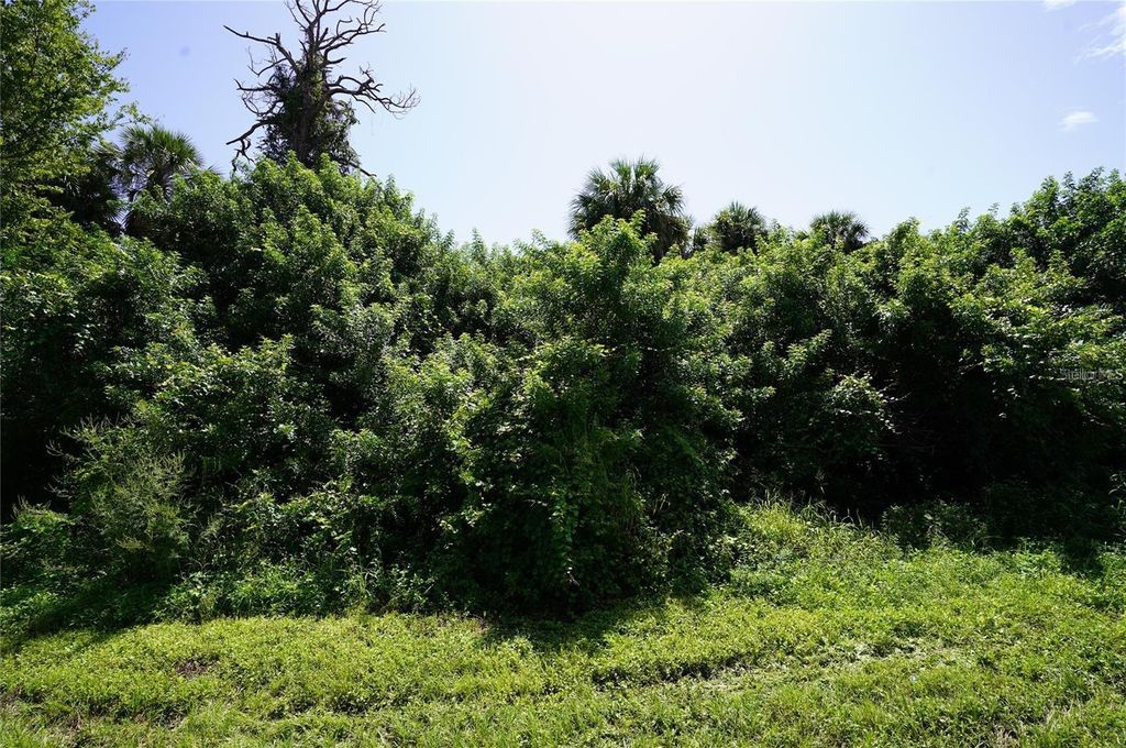 Photo of 10 Warrington Boulevard, Port Charlotte, FL 33954 (MLS # O6371243)