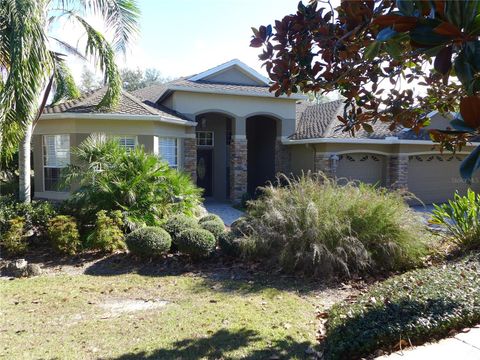 6000 TREMAYNE DRIVE MOUNT DORA FL 32757