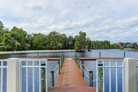 A home in TAMPA