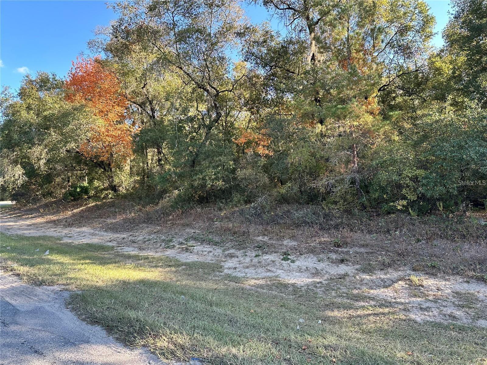 BONNEY SHORES 02 - Residential