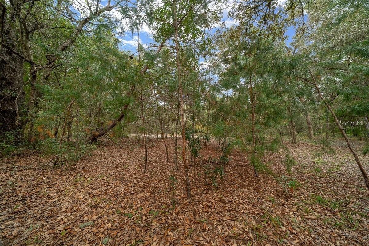 BONNEY SHORES 02 - Residential