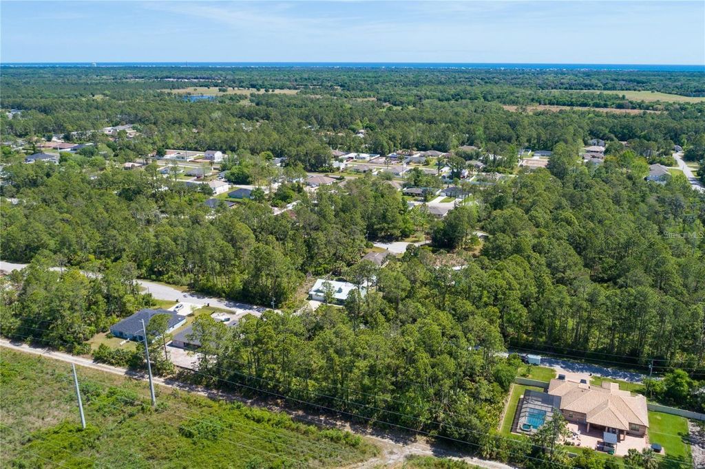 Photo of 32 Serbian Bellflower Trail, Palm Coast, FL 32164 (MLS # V4947983)