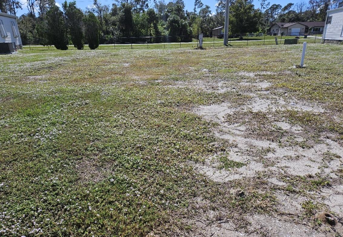 Pet Area Electric is being paid each month by owner so there will not be a impact fee to the buyer. 55+ community with amenities like tennis, a clubhouse, and various social activities with a vibrant lifestyle. Maintenance fee is included in property tax. Property is cleared and has electric and water. Being near the Atlantic Braves spring training stadium will be a treat for baseball fans! Do explore the area's beaches, city parks, restaurants and shopping . This is a deed restricted community... The land is waiting for you to place your new Home. What are you waiting for???
