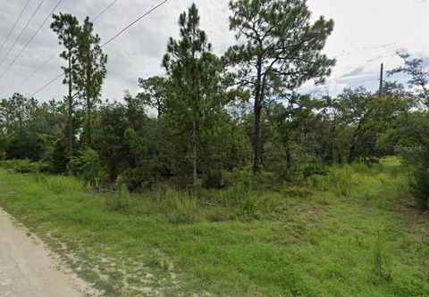 GOLDFINCH ROAD WEEKI WACHEE FL 34614