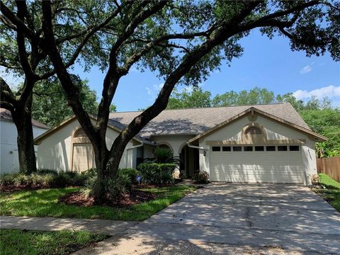 A home in TAMPA