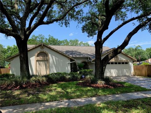 A home in TAMPA