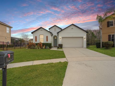 Photo of 13313 Halkyn Point, Orlando, FL 32832 (MLS # O6382778)