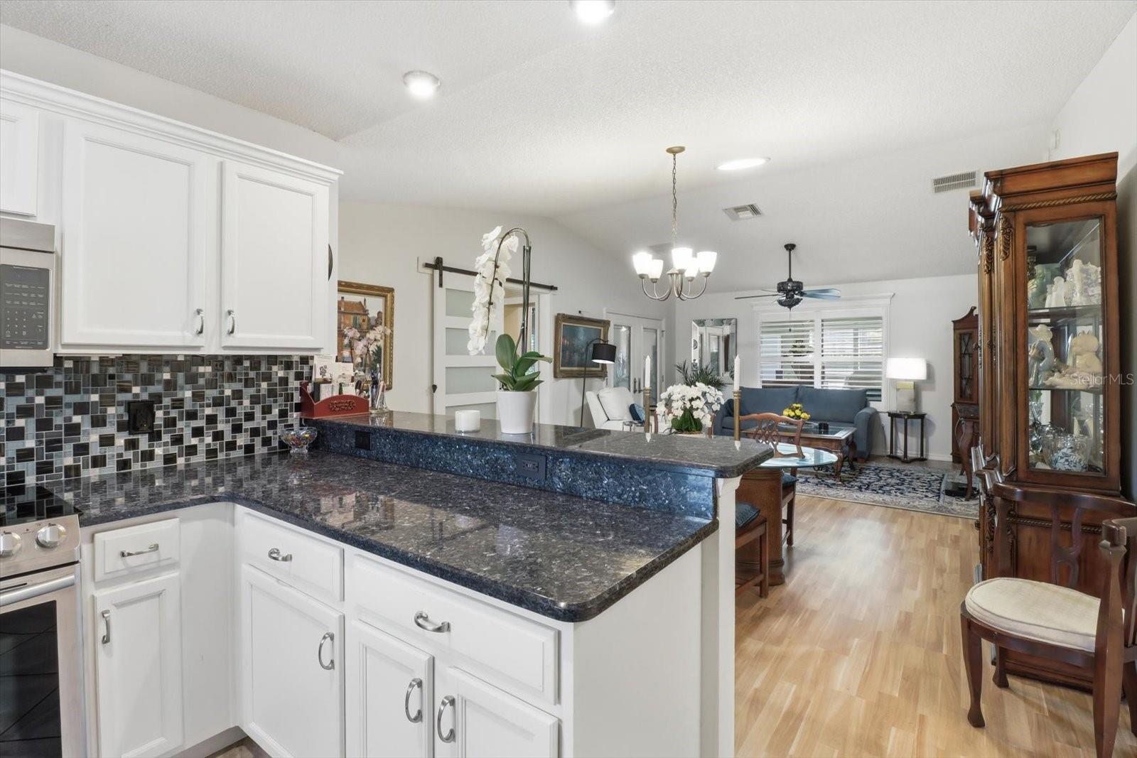 VILLAGES OF SUMTER - Residential