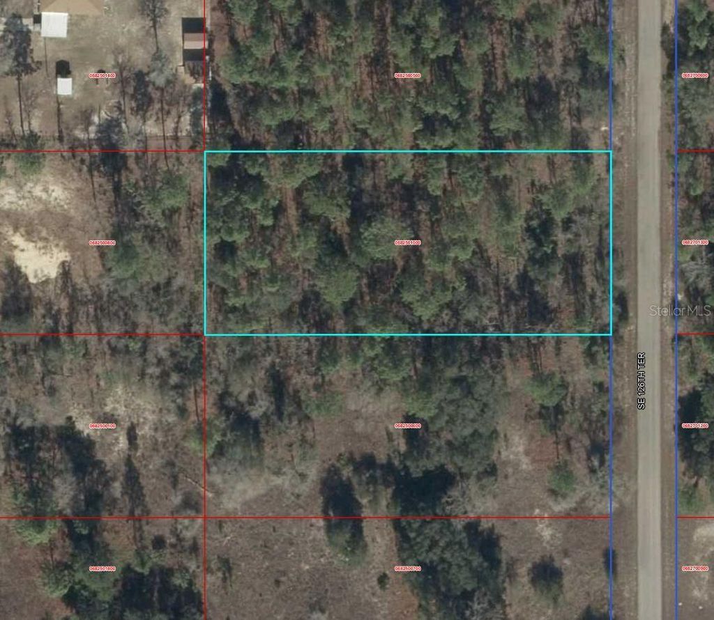 Photo of 00000 SE 126th Terrace, Dunnellon, FL 34431 (MLS # TB8480921)