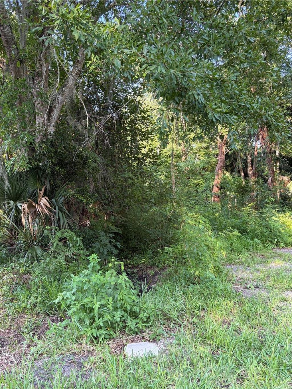 Photo of Palm Terrace, Daytona Beach, FL 32117 (MLS # O6421522)