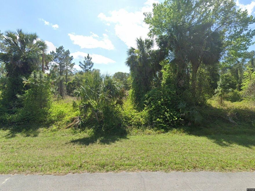 PRICE REDUCTION! The perfect getaway! Fantastic opportunity in Georgetown, Florida. This beautiful lot resides within the peaceful community of Georgetown Cove - an area consisting of plenty of wildlife and outdoor activities. Enjoy access to a range of community amenities, including a well-maintained boat ramp, a picturesque dock, and a charming pavilion with grills and RV slots. The lot is ideally situated outside of flood zones and is ready for your dream home. With proximity to Lake George and the St. Johns River, you’ll have ample opportunities for water activities such as fishing, boating and serene lakefront living.! Georgetown offers several great restaurants and stores to visit. Best of all, owning a lot in Georgetown Cove grants you access to a private 10 acre park maintained by the Georgetown Cove Property Owner's Association for only $45/year. The park features several RV spots with electric and water hookups, a boat slip, a 200 foot pier, a covered area with picnic tables, fire pits, and a gorgeous view of Lake George. BUILD YOUR DREAM HOME HERE! ***Please note: NO owner financing available***