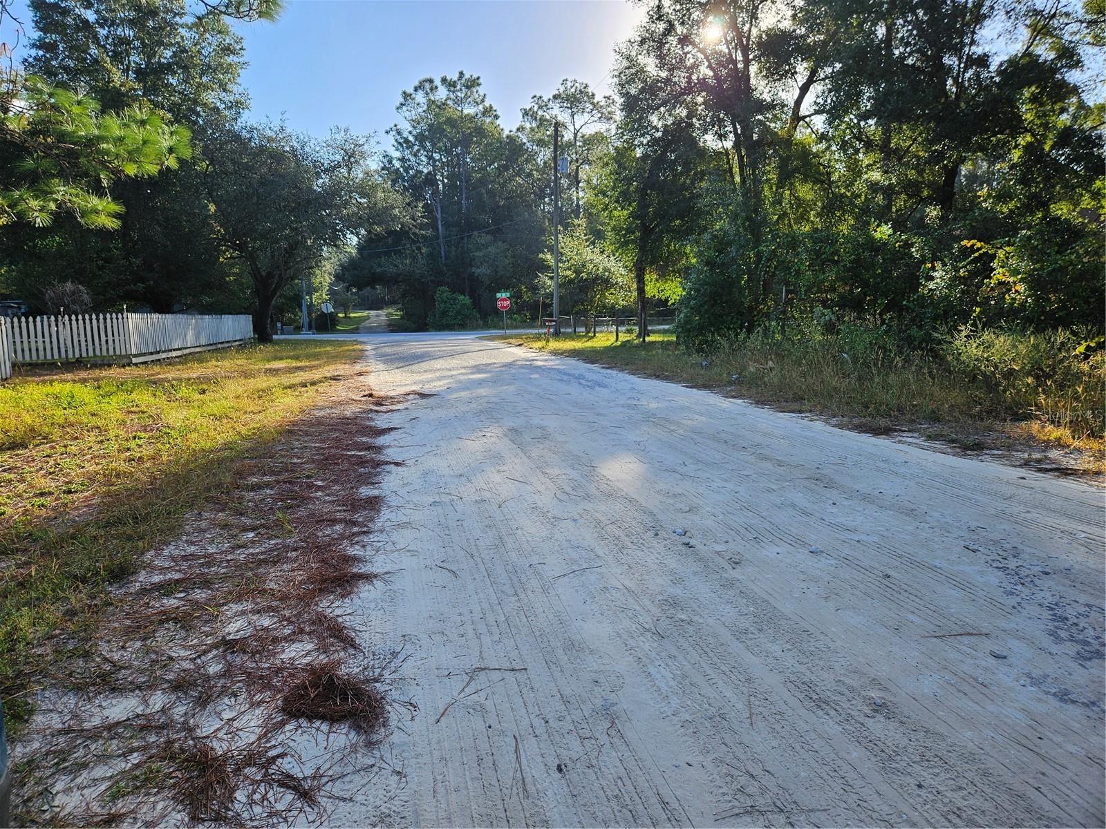 Come build your dream home or just place a mobile home on the lot. Parcel is High and Dry and with no HOA fees. Zoned for Mobile Homes. This 0.95 acres is zoned A2, so you can now have your farm complete with chickens and goats. This lot is private and very rural but still close to shopping, fine dining, springs, and so come live the Florida lifestyle!!! ZONED AGRICULTURE 2(2 Horses Per Acre)*NESTLED IN THE "HEART OF HORSE AND FARM COUNTRY" WITH BIG SKY VIEWS OF WESTERN MARION COUNTY.YOU ARE ONLY 20 MINUTES FROM THE INTERNATIONALLY RENOWNED:"WORLD EQUESTRIAN CENTER," 10 MINUTES TO DUNNELLON'S FAMOUS "CRYSTAL CLEAR" RAINBOW RIVER WITH 2 STATE & 1 COUNTY PARKS. 20 MINUTES OR LESS TO DUNNELLON CITY'S AND/OR COUNTY PUBLIC BOAT RAMPS. 30 MINS TO SPECTACULAR LAKE ROUSSEAU OR CRYSTAL RIVER ON THE GULF OF MEXICO.CEDAR KEY BEACH IS UNDER 1 HOUR DRIVE.