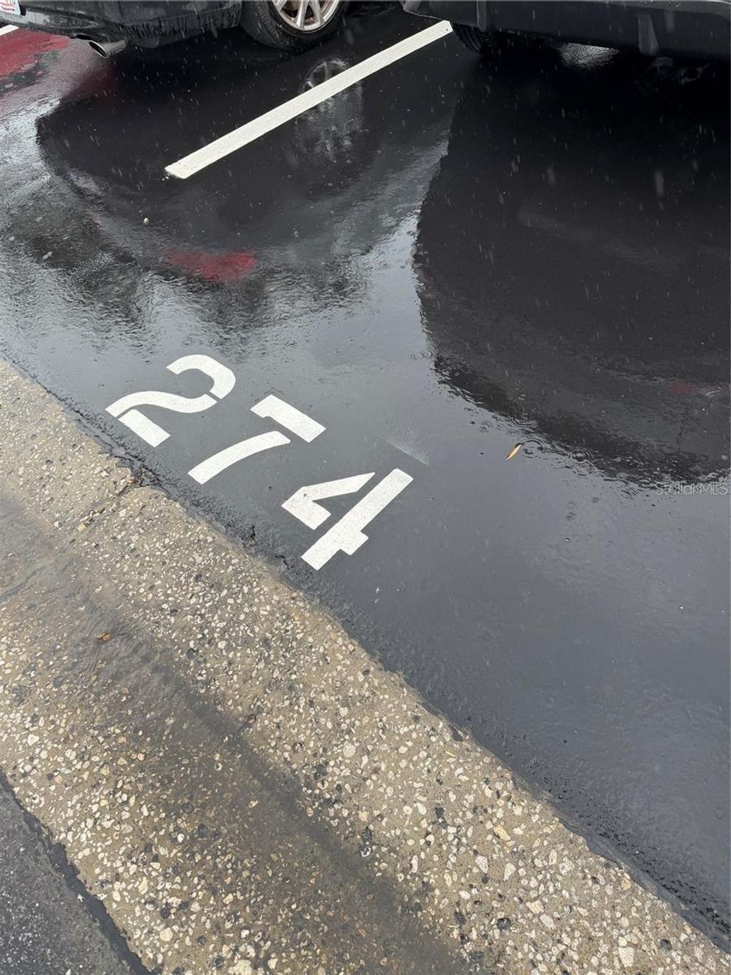 Photo of 274 Cypress Lane, Oldsmar, FL 34677 (MLS # W7884473)