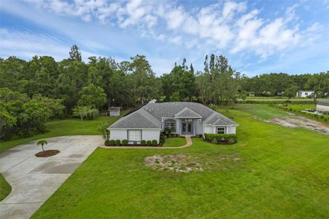 Tiny photo for 15038 Willow Lane, Tavares, FL 32778 (MLS # O6316126)