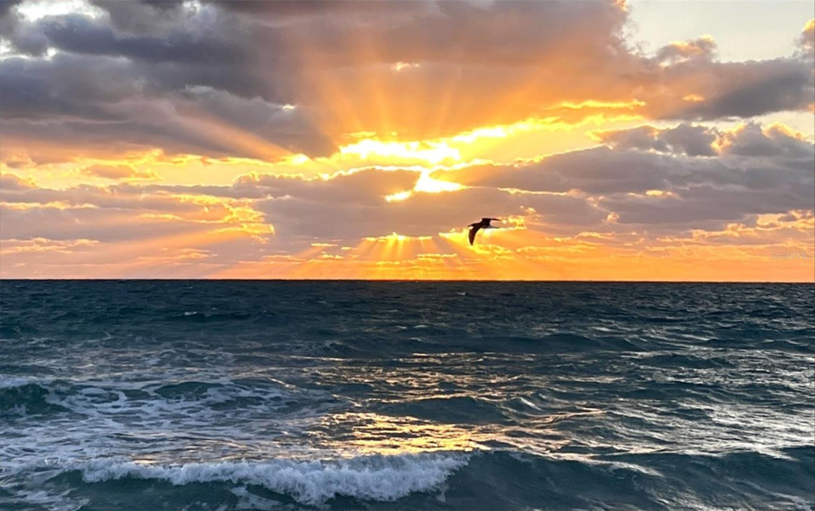 ADMIRALTY CLUB - Residential