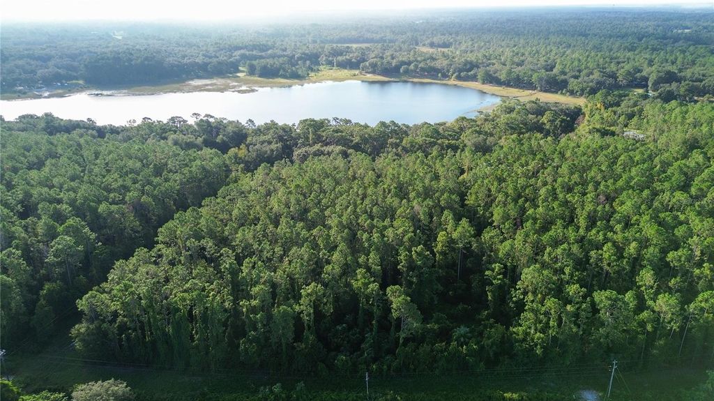 Photo of Tbd SE 170th Avenue, Ocklawaha, FL 32179 (MLS # OM709988)