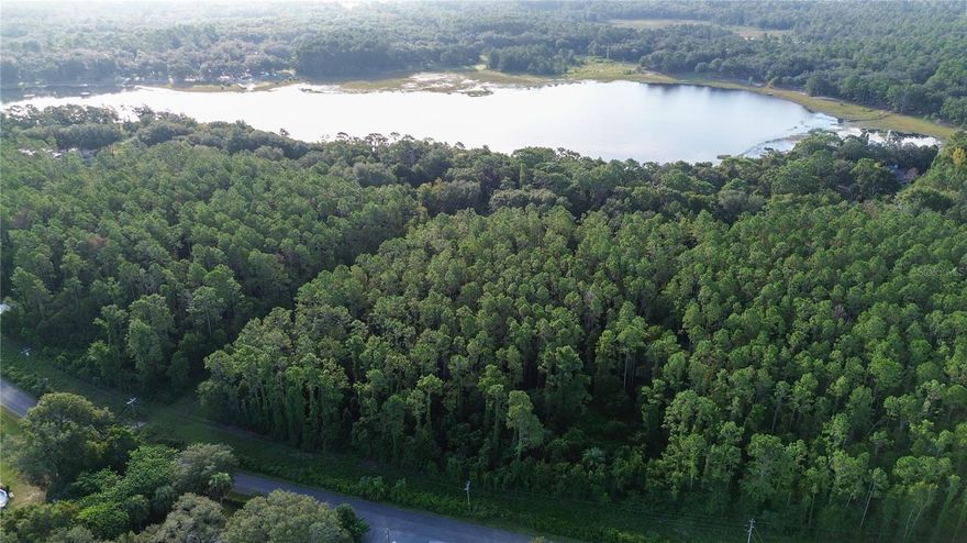 Welcome to 5.30 acres of lakefront living in the community of Ocklawaha. This parcel offers a rare combination of privacy, natural beauty, and convenience, ideally located between The Villages and Ocala. Set among towering pines with a homesite ready for your vision, the property overlooks Lake Bessiola.. a private freshwater lake with no public access and excellent fishing. With plenty of space for horses and outdoor recreation, it’s the perfect setting for those who love the outdoors. Clearlake Ranches is an intimate neighborhood of just 13 properties with a low HOA of only $210 / year. All building pads are high and dry, outside the flood zone, and there is no timeframe to build, giving you the freedom to choose your own builder when the time is right. A paved, county-maintained road leads to your private driveway, ensuring easy access while maintaining a peaceful setting. Just minutes from the Ocklawaha River, Lake Weir, Silver Springs, Rainbow River, Juniper Springs, and the Ocala National Forest, this property puts boating, fishing, hiking, biking, and trails right at your doorstep, with shopping and dining nearby in Ocala and The Villages.