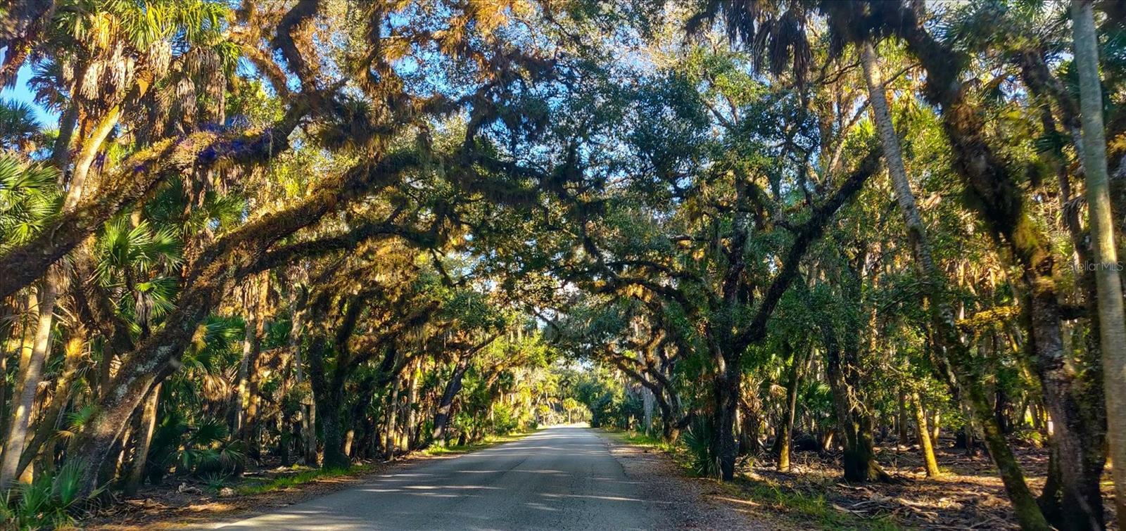 OAK FORD GOLF CLUB - Residential