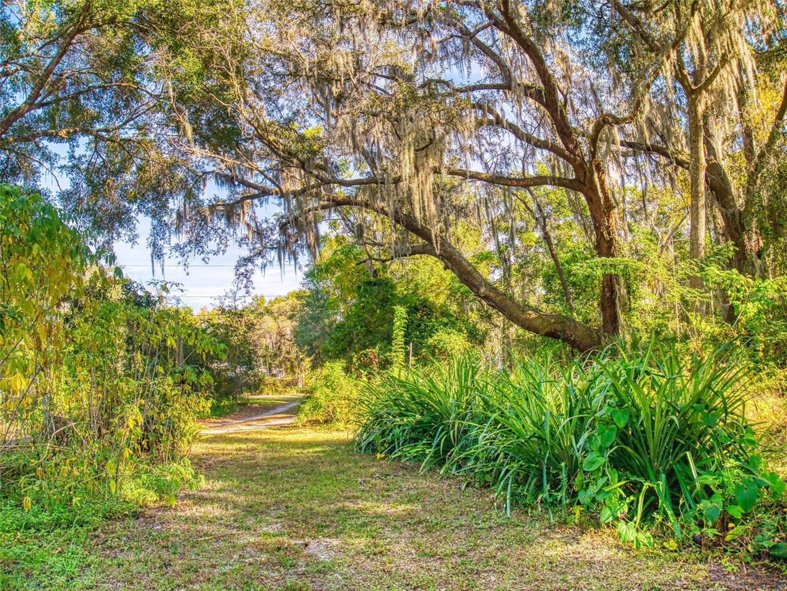 ACREAGE & UNREC - Residential