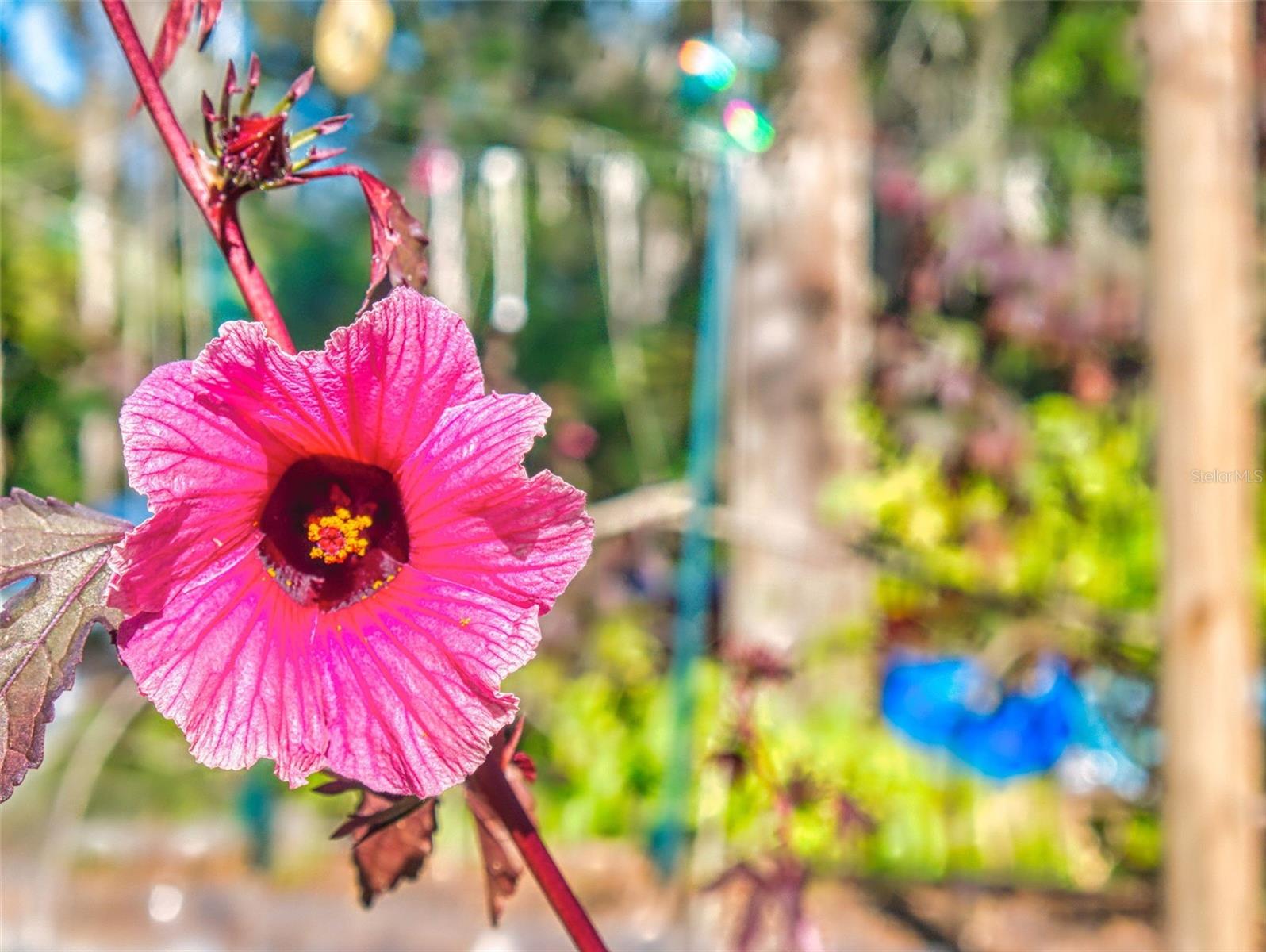 ACREAGE & UNREC - Residential