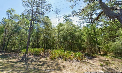 Photo of 7394 W Dunnellon Road, Dunnellon, FL 34433 (MLS # OM733338)