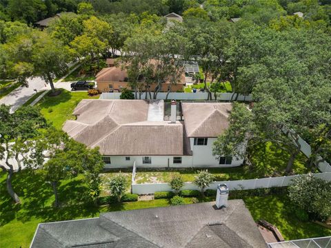 A home in PALM HARBOR