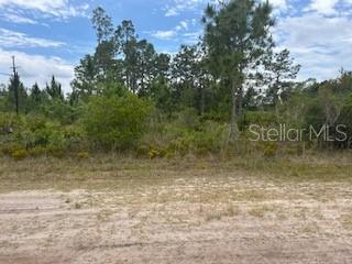 INDIAN LAKE ESTATES - Land