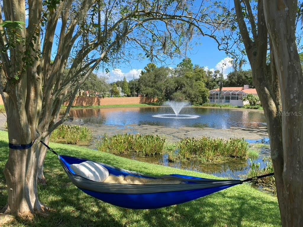 Photo of 2406 Dana Drive, Safety Harbor, FL 34695 (MLS # TB8478784)