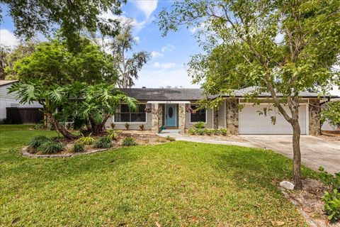 Photo of 817 E Harbour Court, Ocoee, FL 34761 (MLS # O6398623)