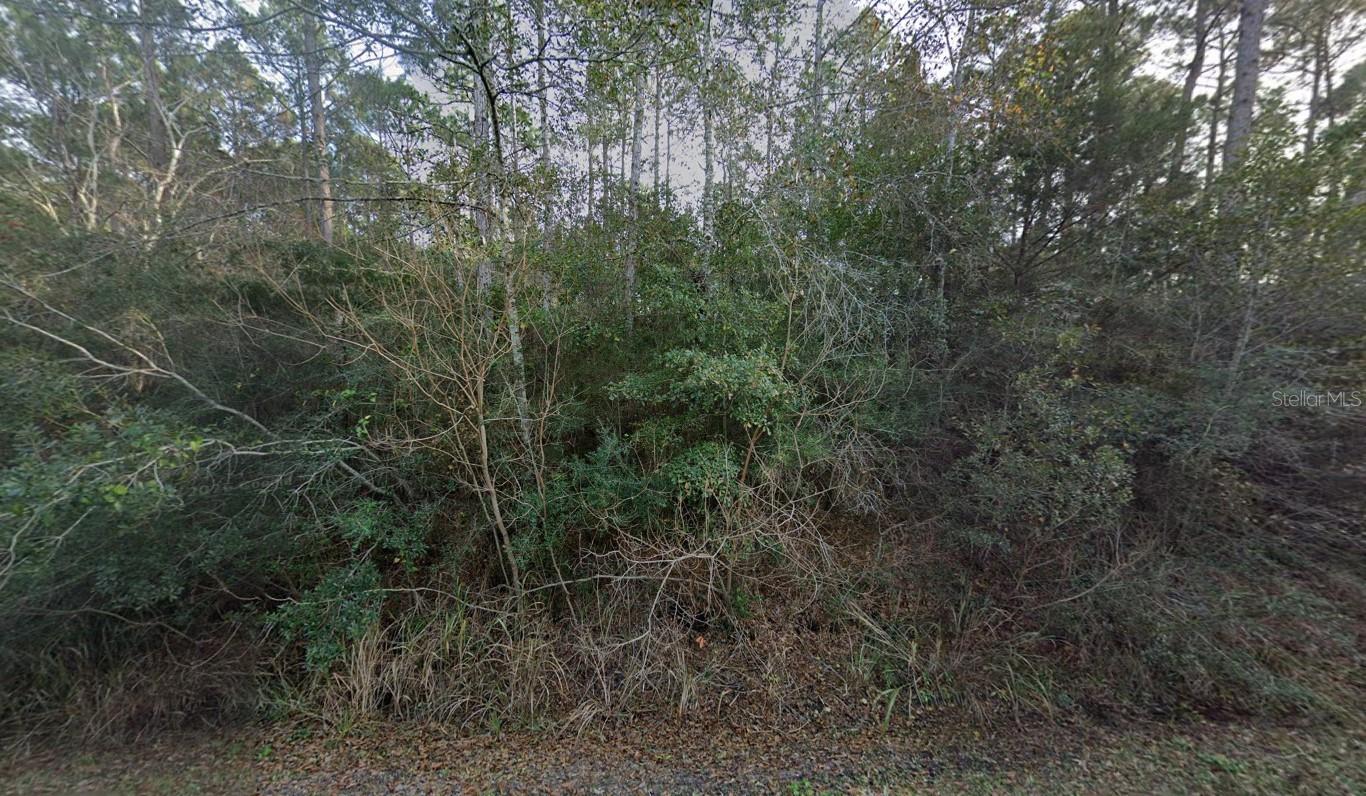 TROUT BAYOU SUB - Land
