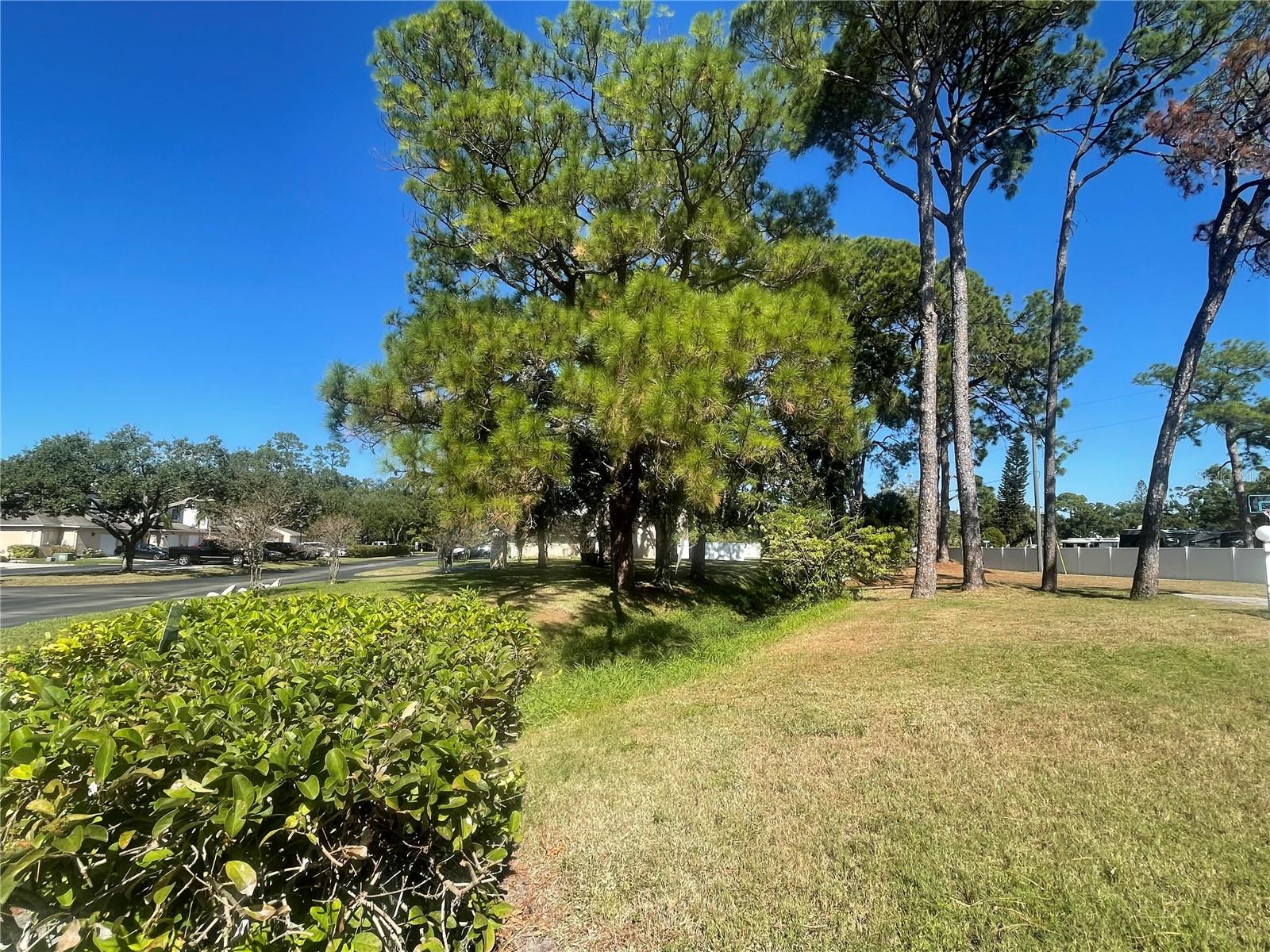 PINEWOOD VILLAS - Residential