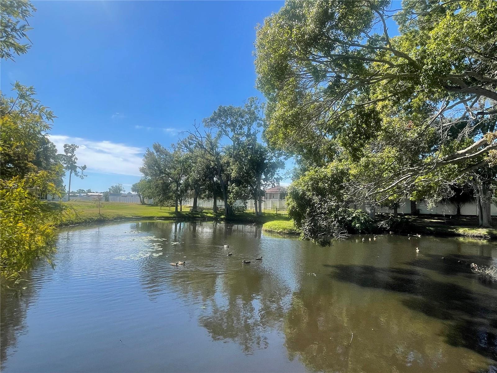 PINEWOOD VILLAS - Residential