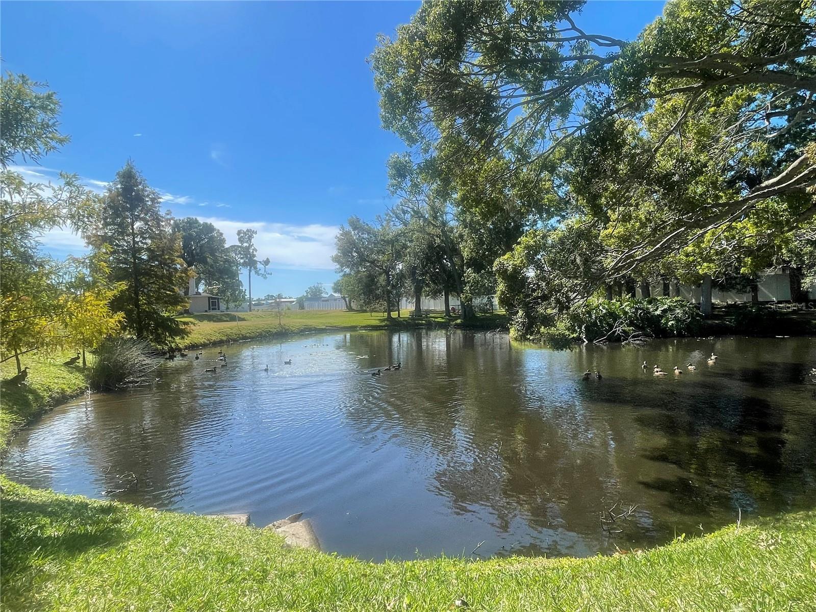 PINEWOOD VILLAS - Residential