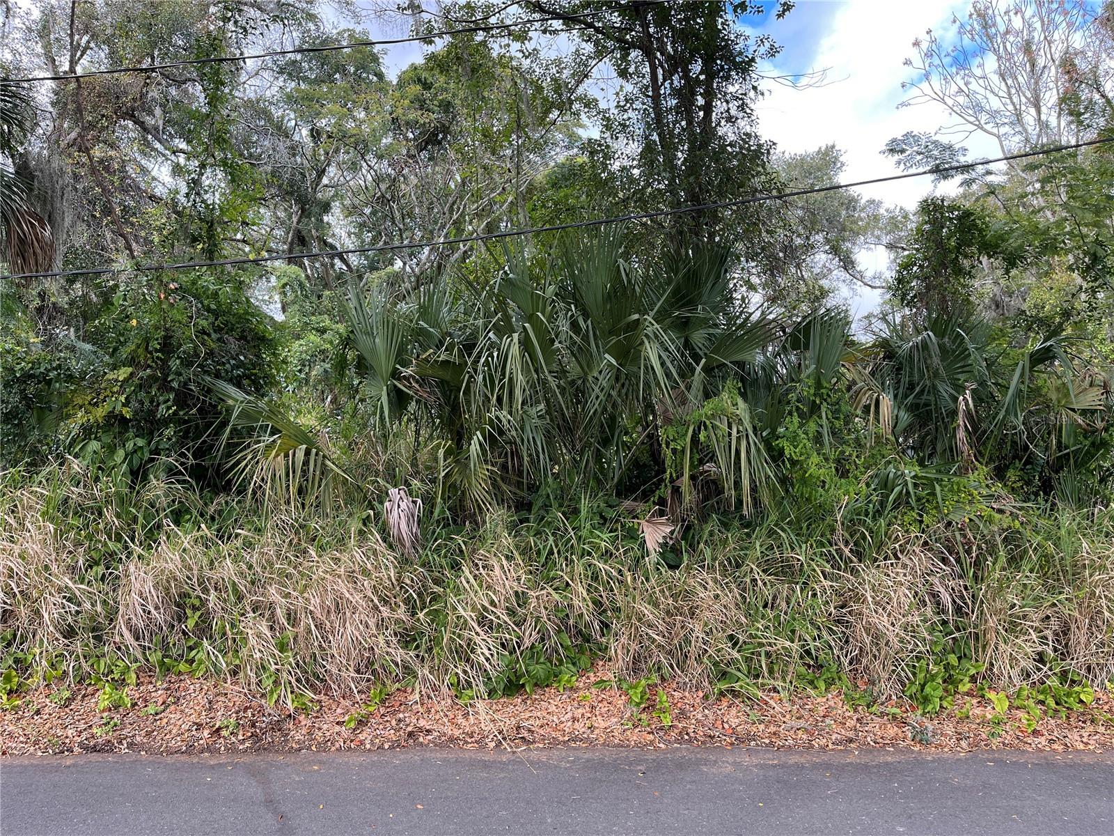 0 E FRUITLAND STREET