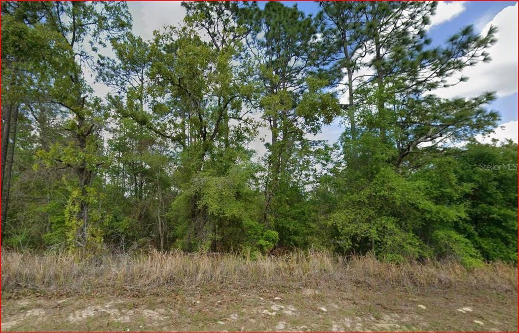 Photo of 11016 N Mataro Avenue, Citrus Springs, FL 34434 (MLS # OM724790)