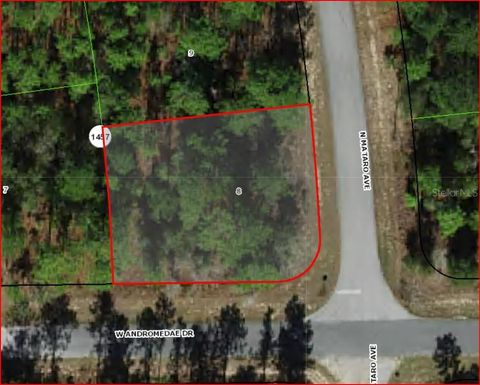 11016 N MATARO AVENUE CITRUS SPRINGS FL 34434