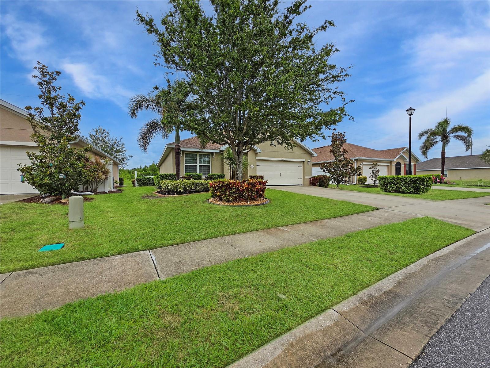 7292 MIKASA DRIVE