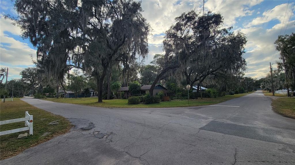 Photo of 1412 Cr 482n, Lake Panasoffkee, FL 33538 (MLS # O6372143)