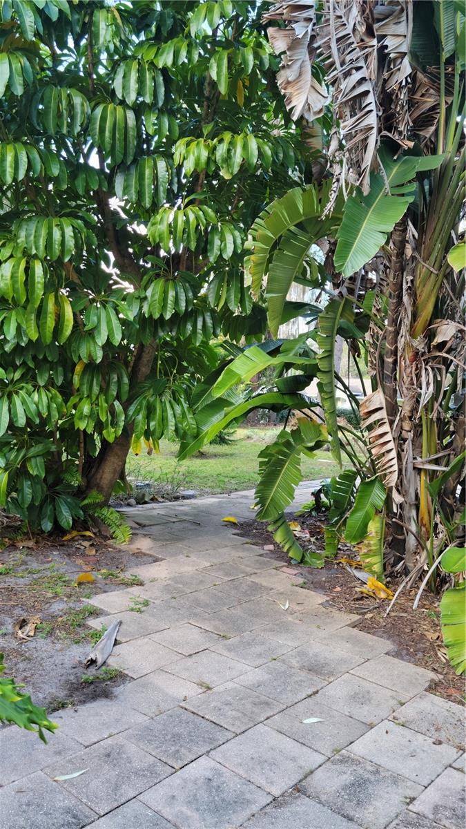 LAKE SHORE PARK - Residential