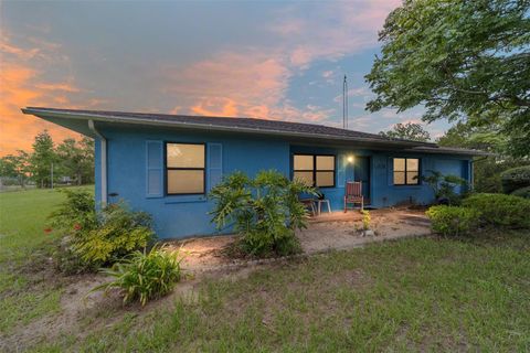 Photo of 17128 SE 140th Avenue, Weirsdale, FL 32195 (MLS # OM702821)