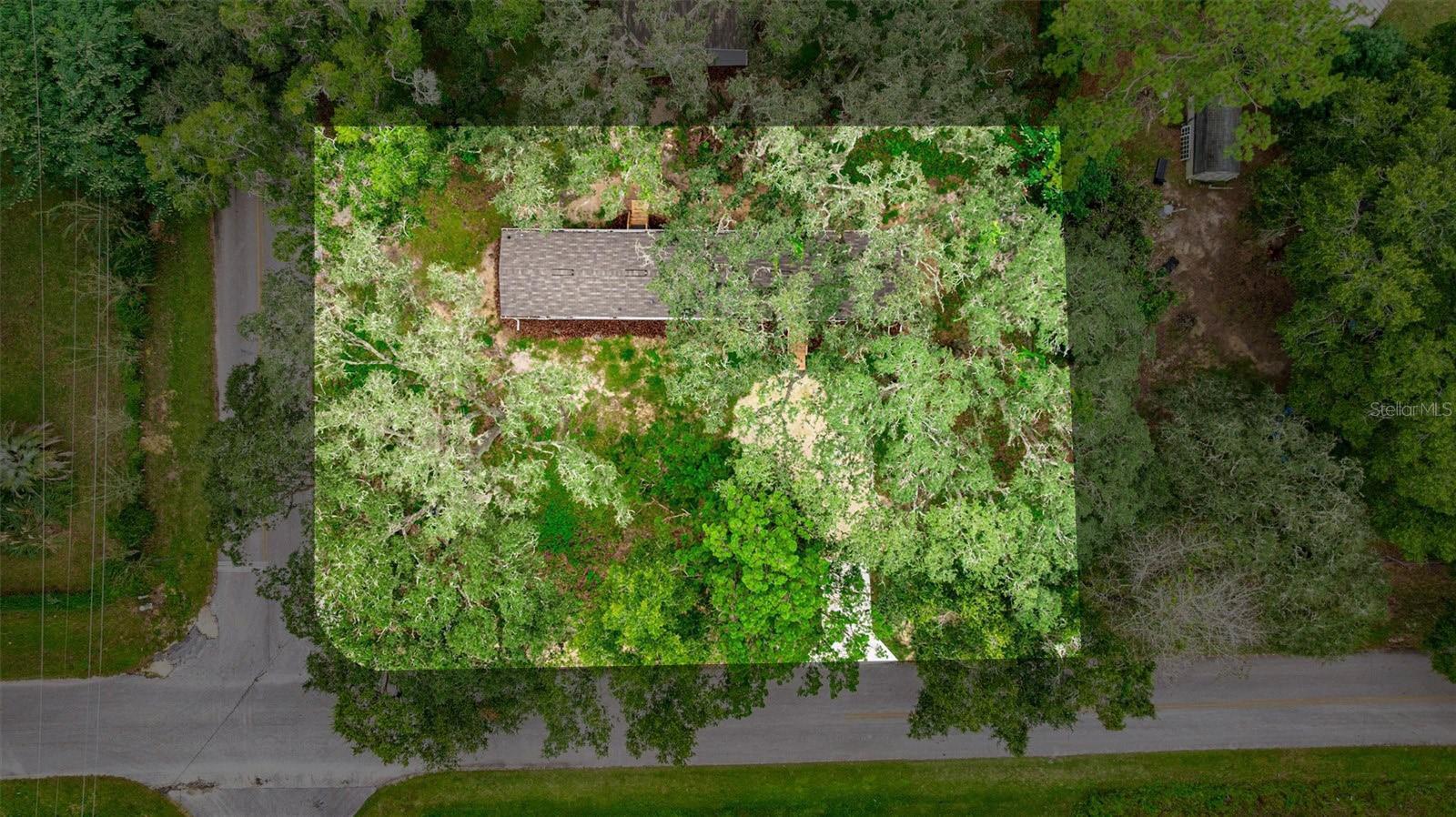 OCALA PARK ESTATES - Residential