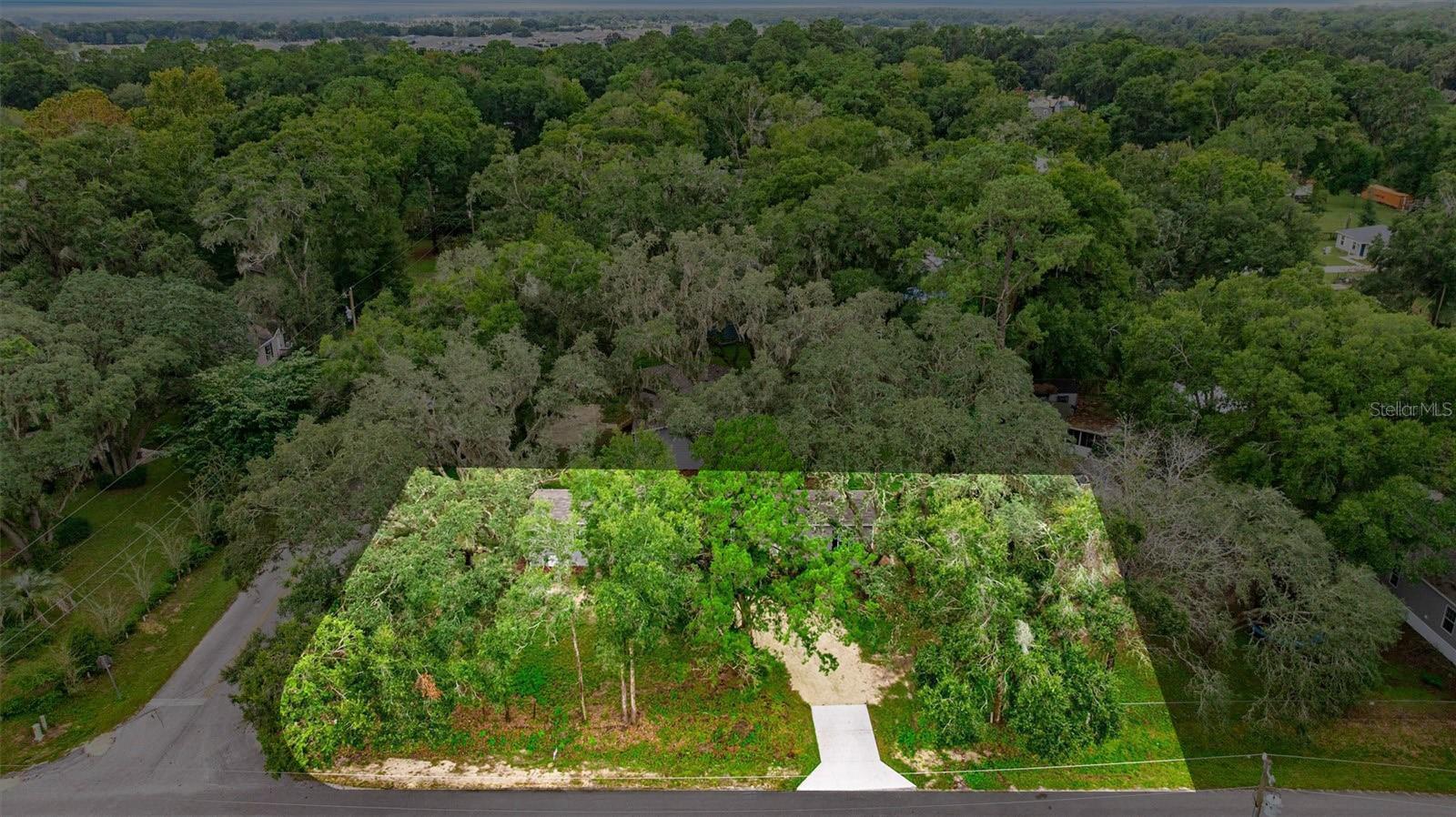OCALA PARK ESTATES - Residential